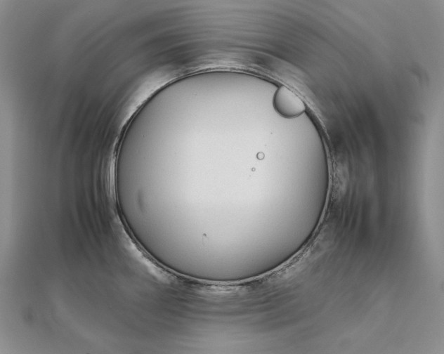 X0000111841290200908061246