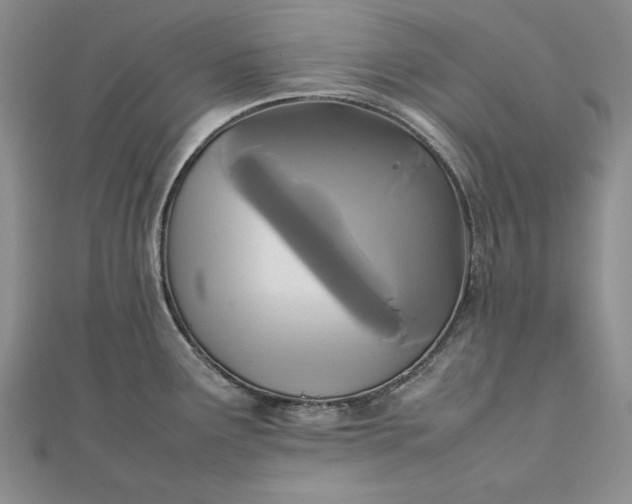 X0000111841291200908061245