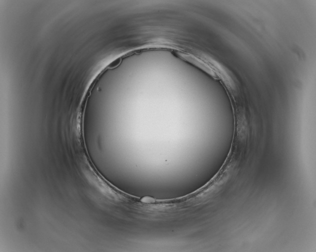 X0000111841292200908061245