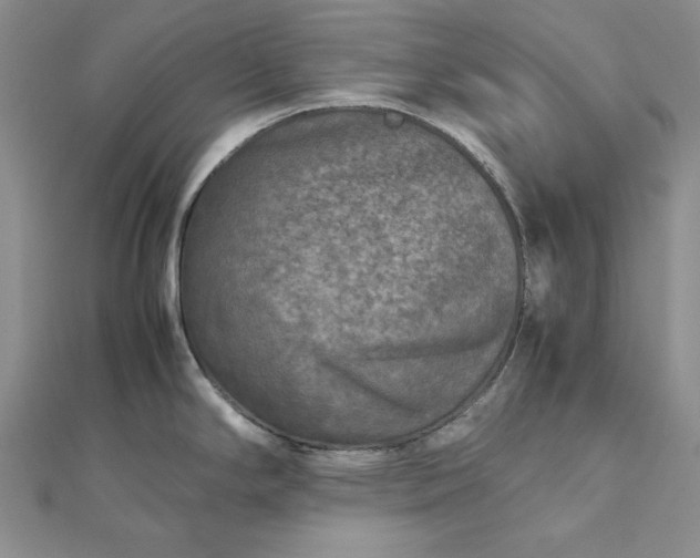 X0000111841294200908061245