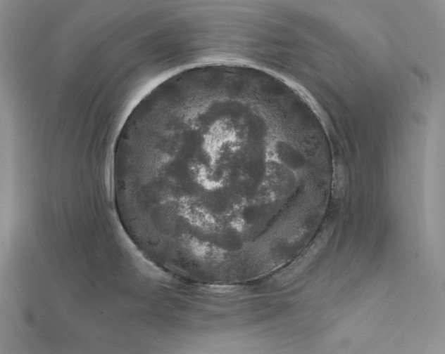 X0000111841295200908061245