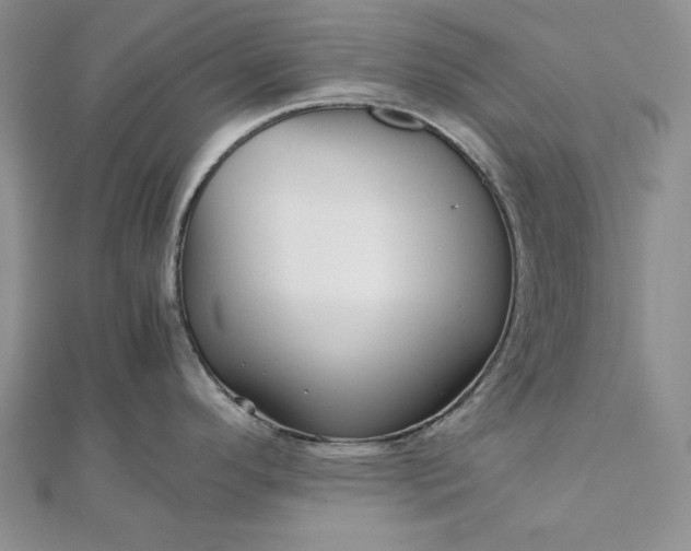 X0000111841296200908061245