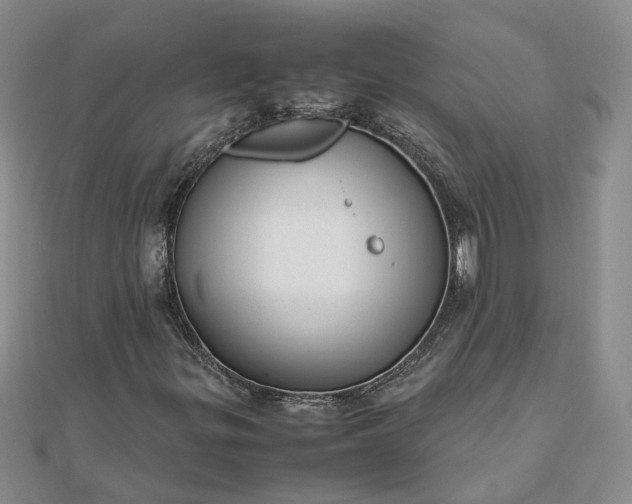 X0000111841299200908061245