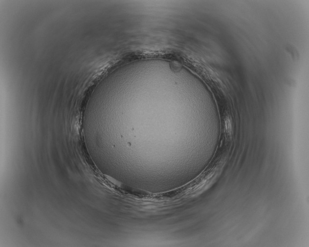 X0000111841300200908061245