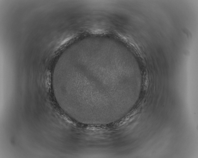 X0000111841301200908061245