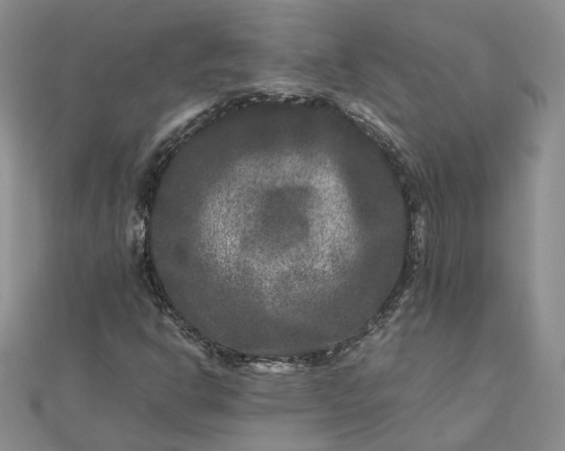 X0000111841302200908061245