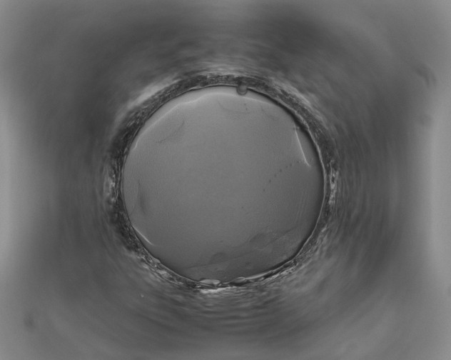 X0000111841303200908061245