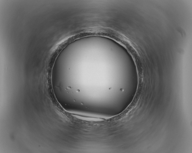 X0000111841304200908061245