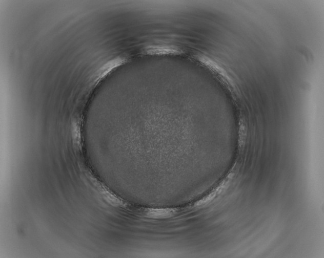 X0000111841305200908061245