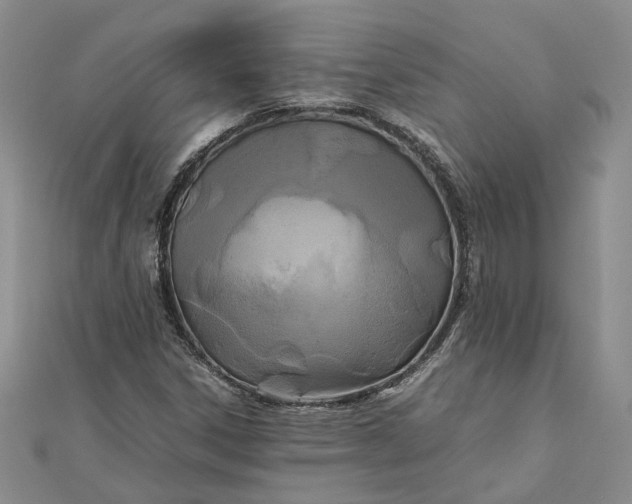 X0000111841306200908061245