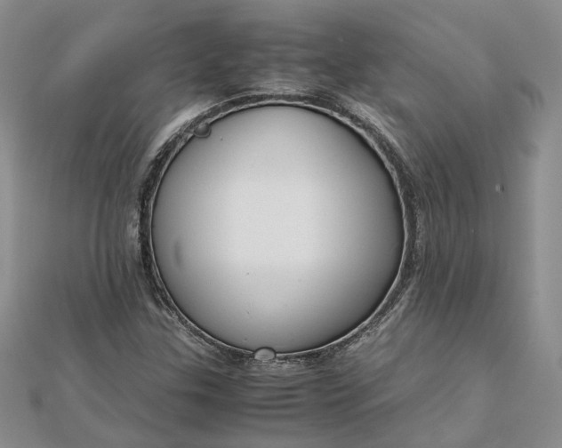 X0000111841307200908061245