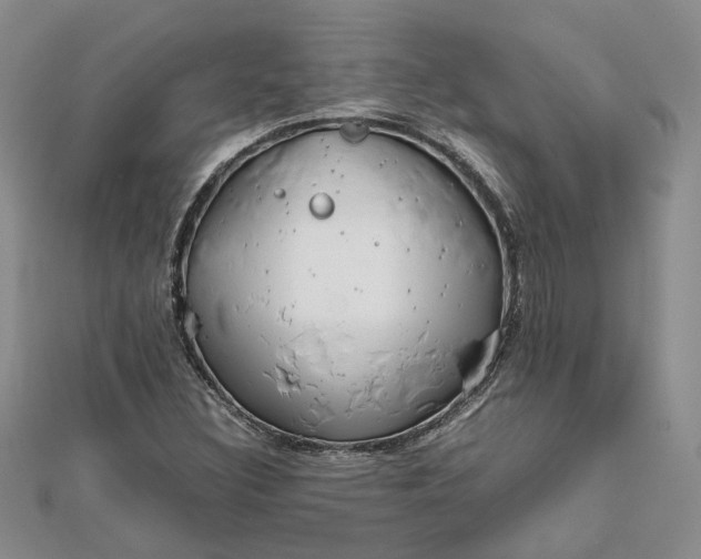 X0000111841308200908061245