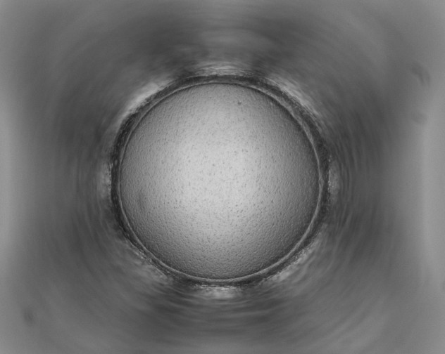 X0000111841309200908061245