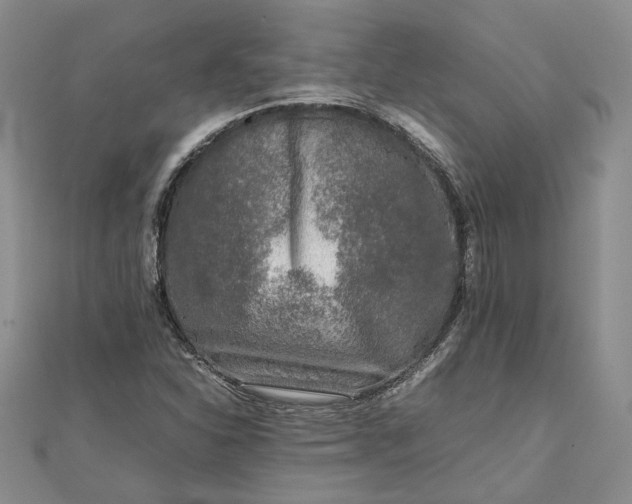 X0000111841310200908061245