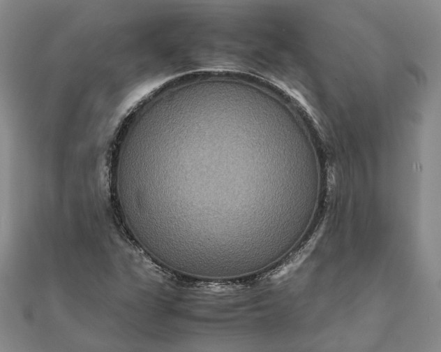 X0000111841311200908061245