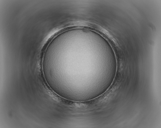 X0000111841312200908061245