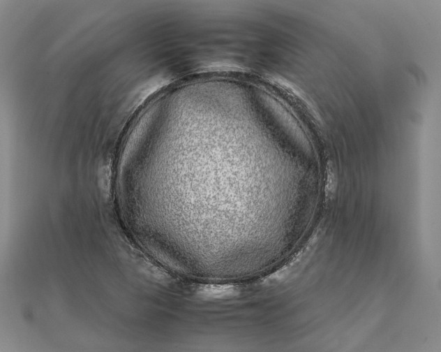 X0000111841313200908061245