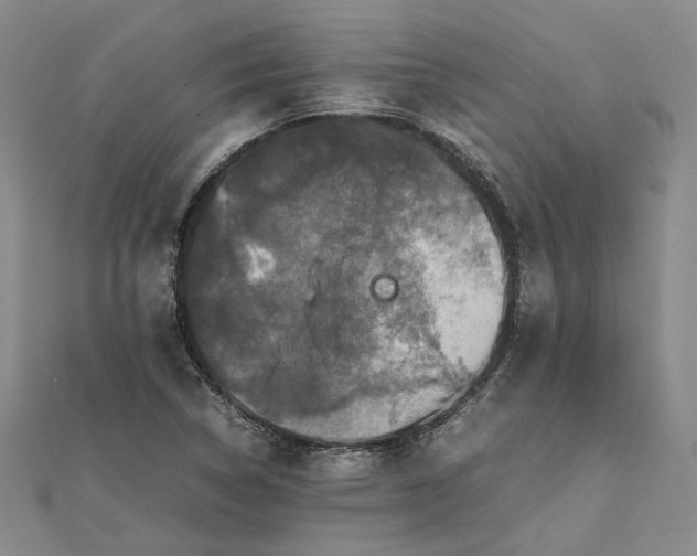 X0000111841314200908061245