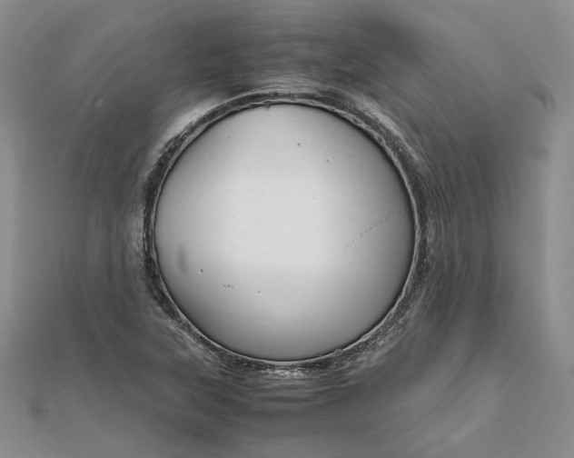 X0000111841315200908061245