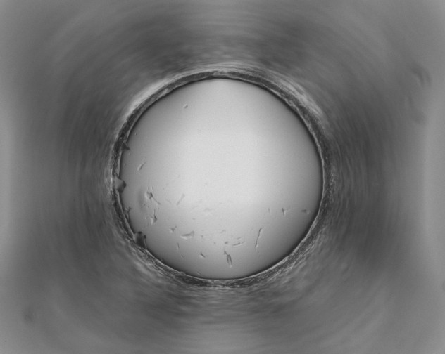 X0000111841316200908061245