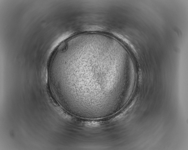 X0000111841317200908061245