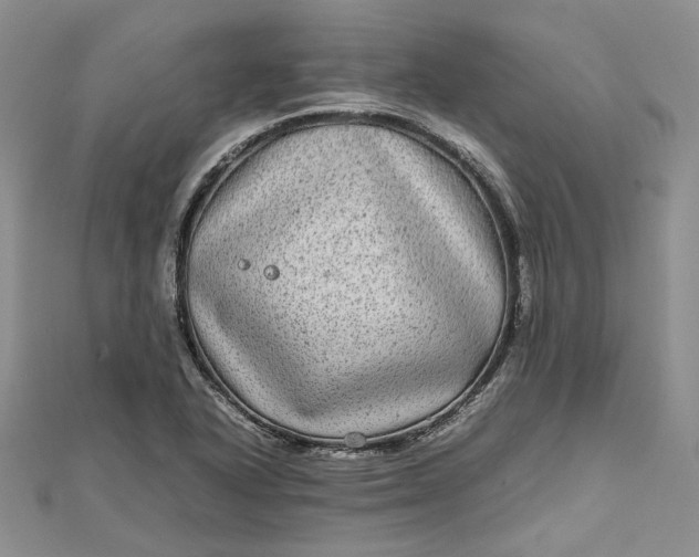 X0000111841318200908061245