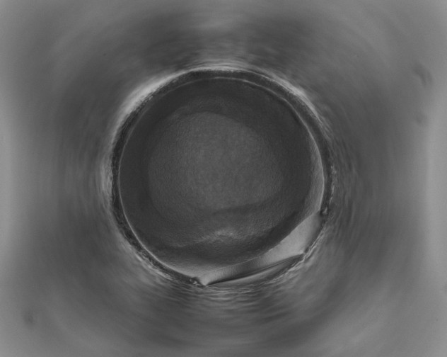 X0000111841319200908061245