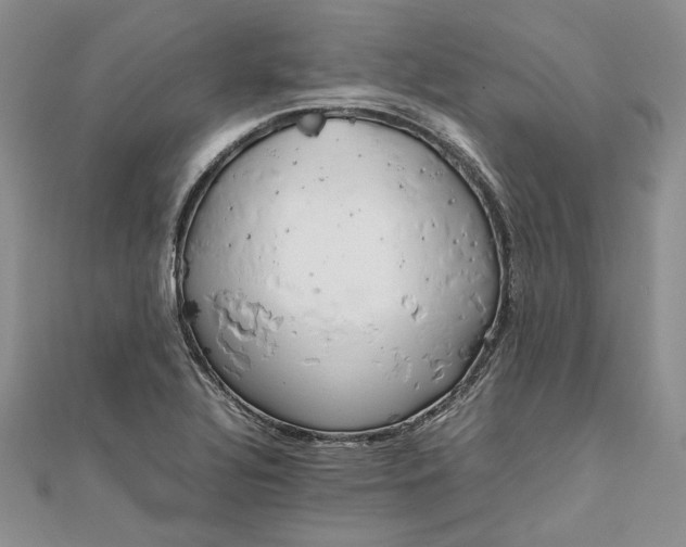 X0000111841320200908061245