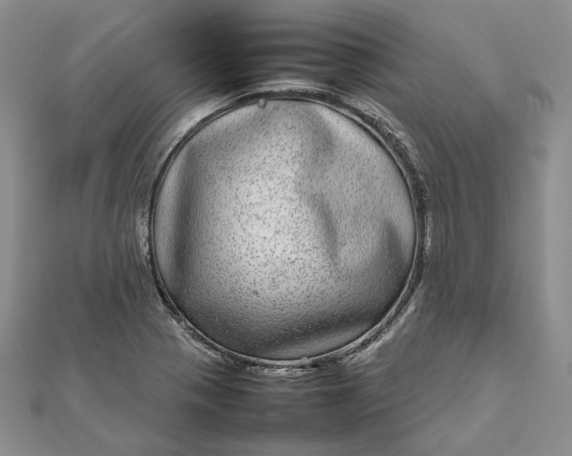 X0000111841321200908061245