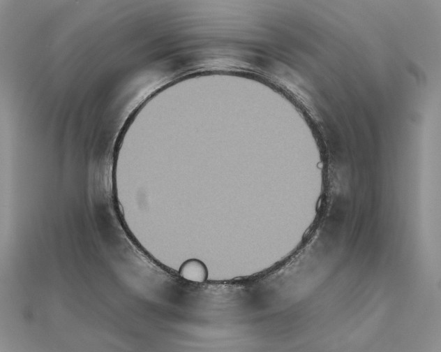 X0000111841322200908061245