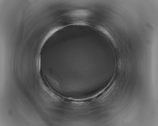 X0000111841323200908061245