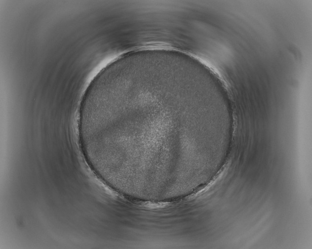 X0000111841325200908061245