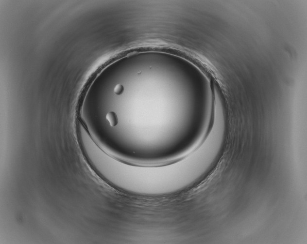 X0000111841326200908061245