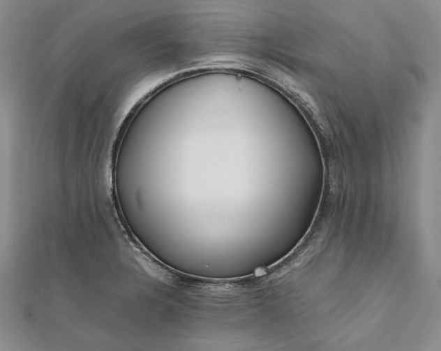 X0000111841328200908061245