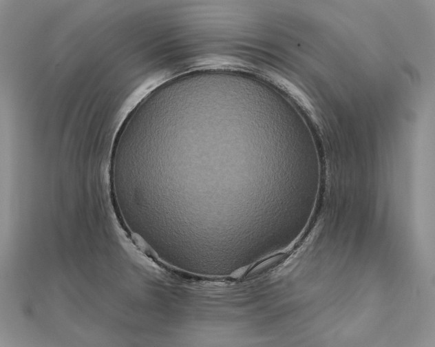 X0000111841330200908061245