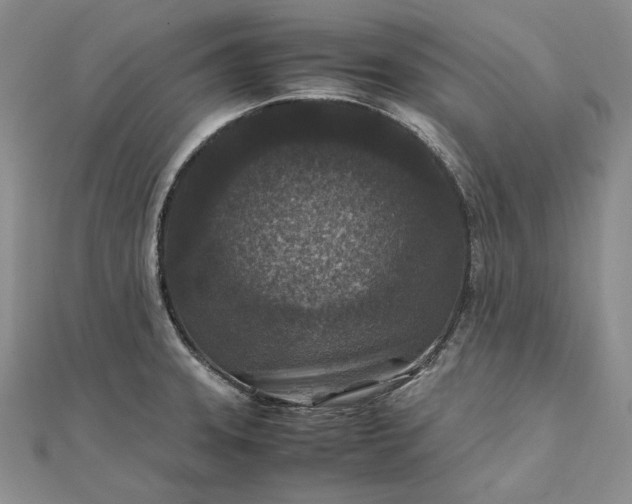 X0000111841331200908061245