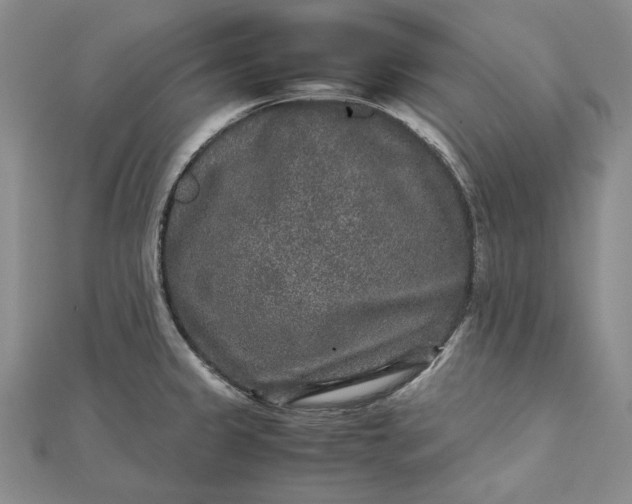 X0000111841333200908061245