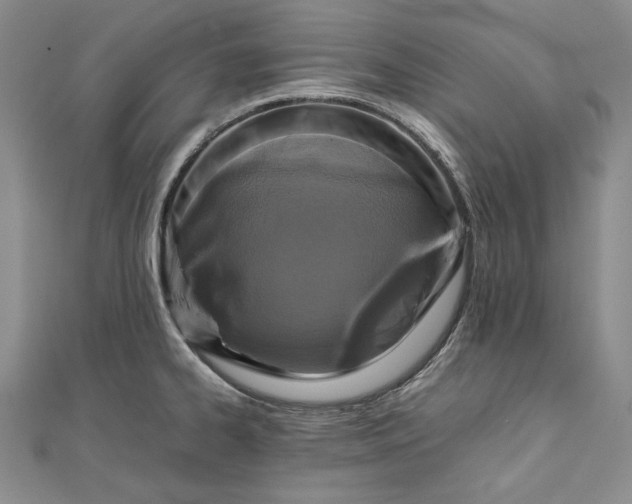 X0000111841334200908061245