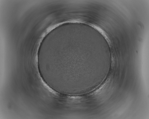 X0000111841335200908061245