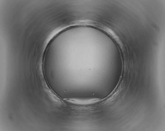 X0000111841336200908061245