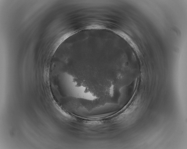 X0000111841337200908061245