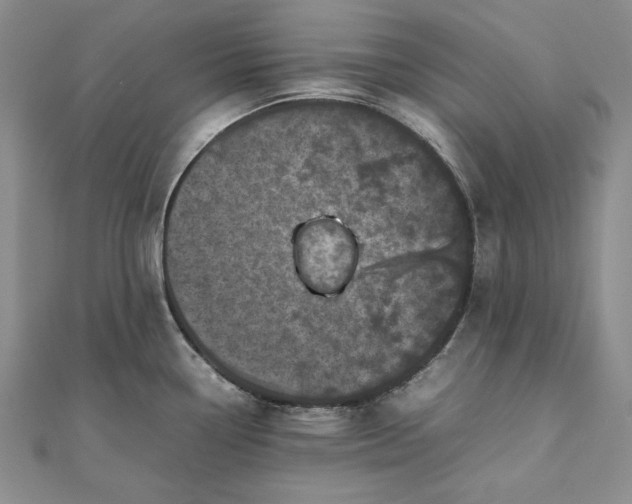 X0000111841338200908061245