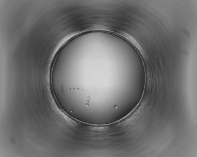 X0000111841339200908061245