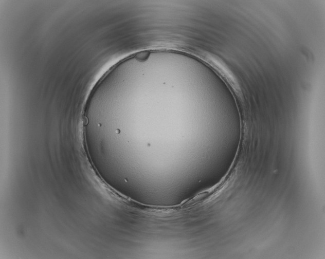 X0000111841340200908061245