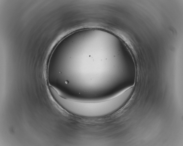 X0000111841342200908061245