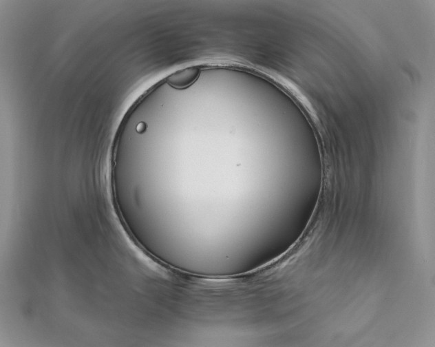 X0000111841343200908061245