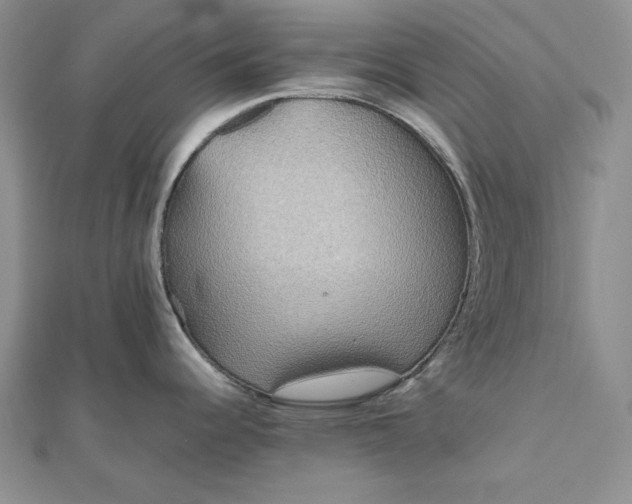 X0000111841344200908061245