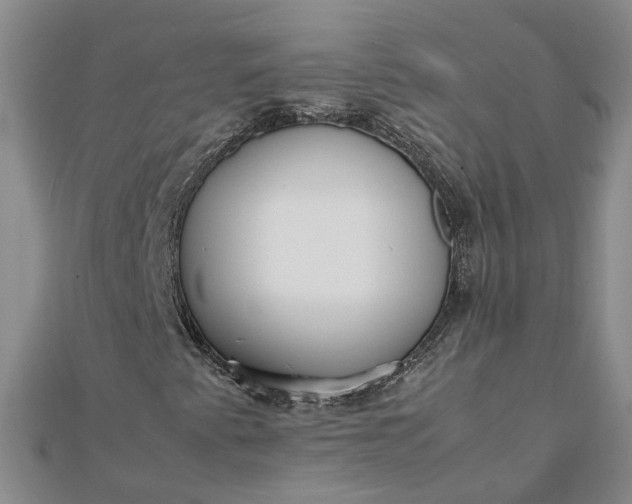 X0000111841345200908061245