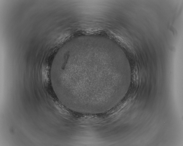 X0000111841346200908061245