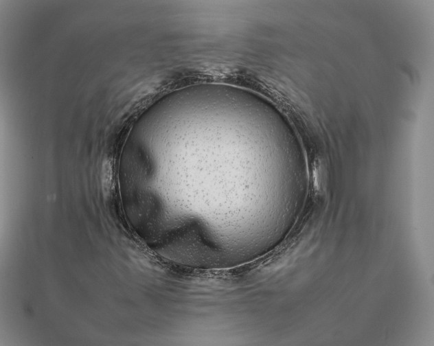 X0000111841347200908061245